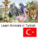 Logo of Learn Animals in Turkish android Application 