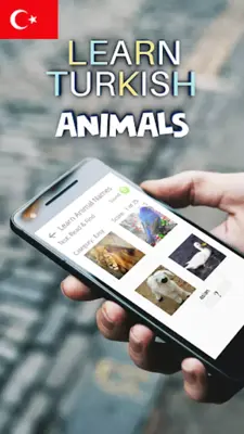 Learn Animals in Turkish android App screenshot 7